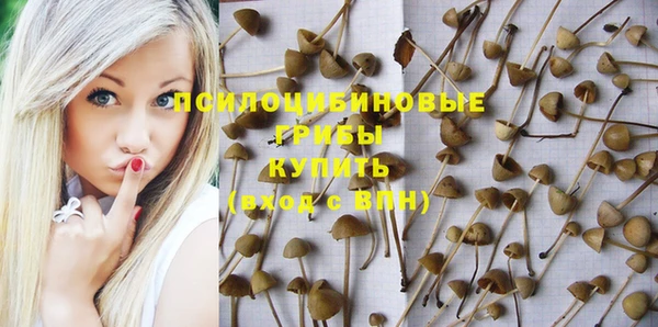 метамфетамин Верея