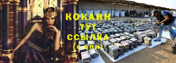 альфа пвп Снежногорск