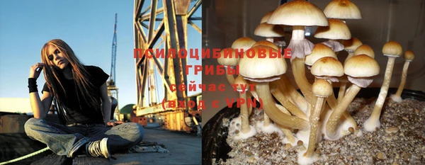 герыч Вяземский